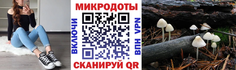 Купить где  Буинск  Галлюциногенные грибы ЛСД 